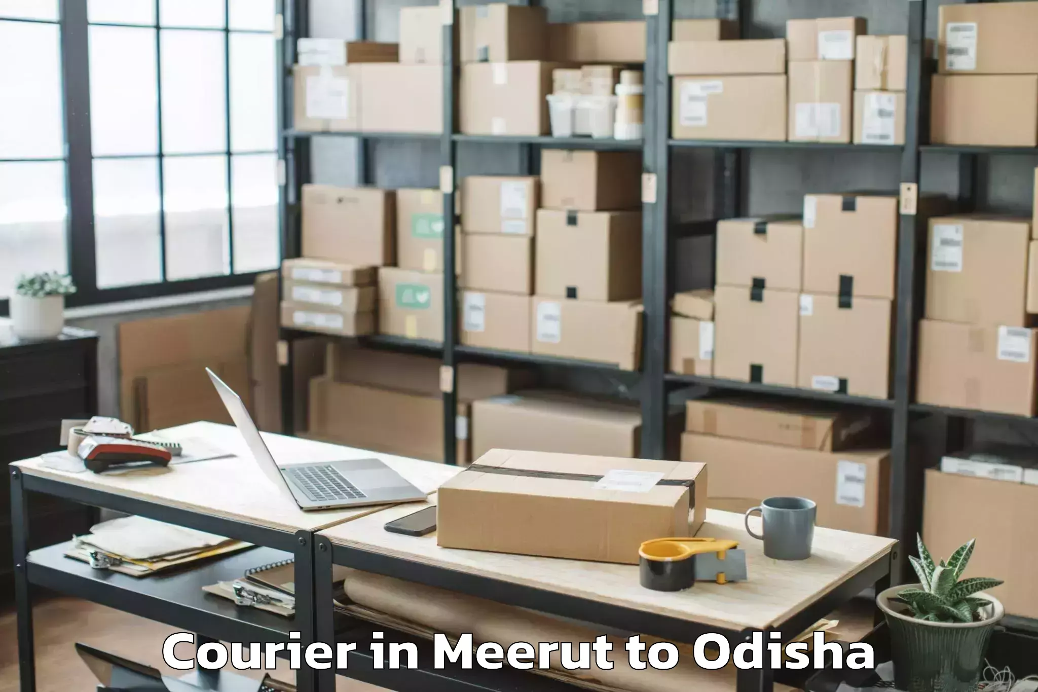 Leading Meerut to Abhilashi University Berhampur Courier Provider